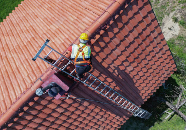  Plum Grove, TX Roofing Service Pros