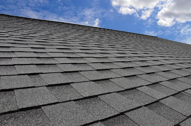 Best Solar Panel Roofing Installation  in Plum Grove, TX